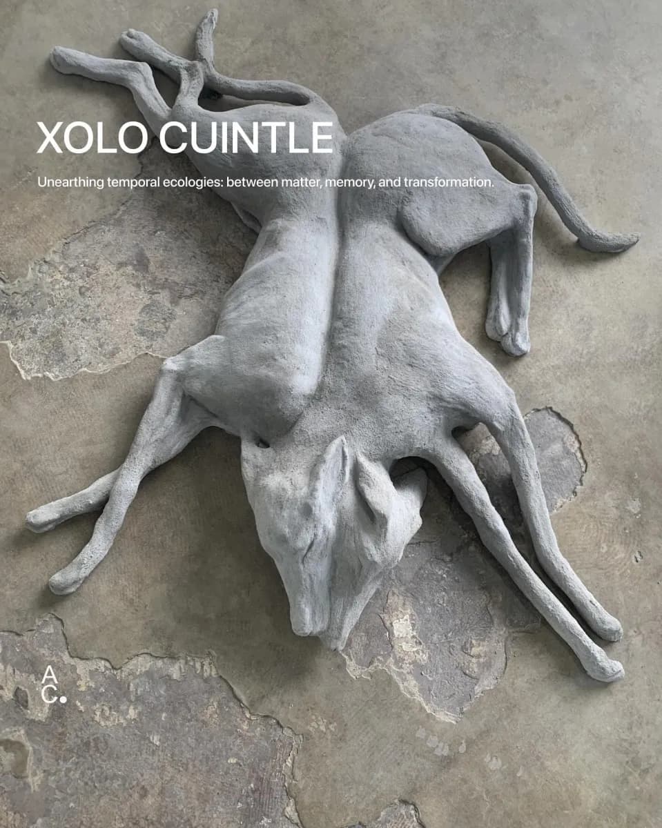 Xolo Cuintle editorial portrait