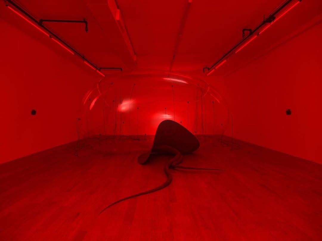 LUCA exhibition view