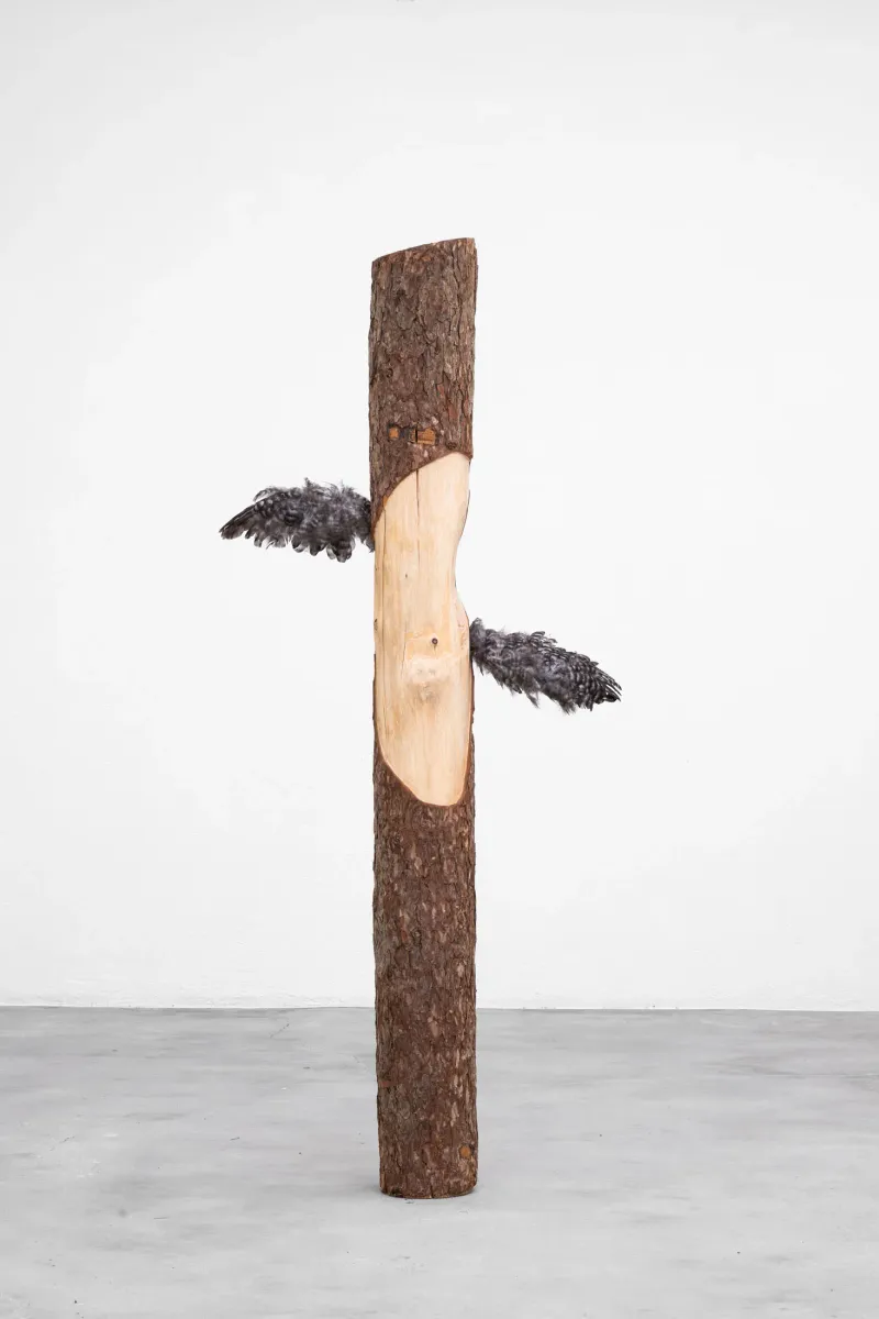 OLD SNAG exhibition view