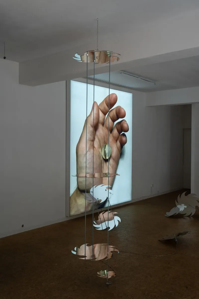 We are deeply alarmed and express our grave concern exhibition view