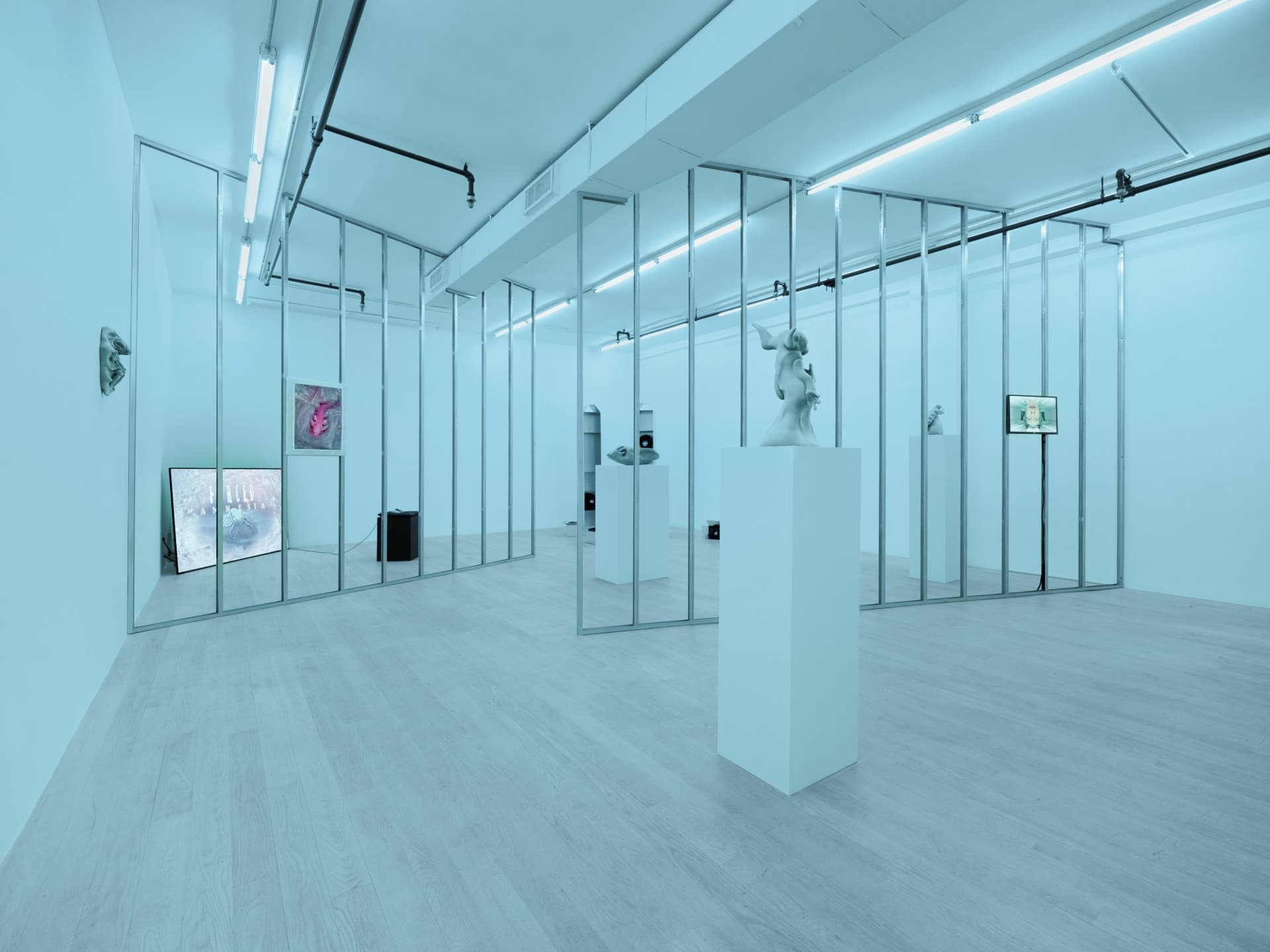 exuviae exhibition view