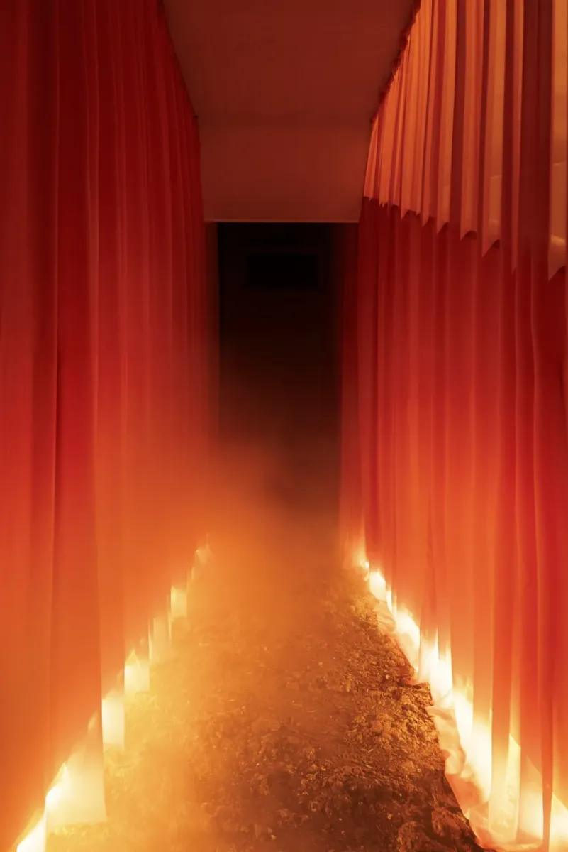 Tangerine Reverie exhibition view