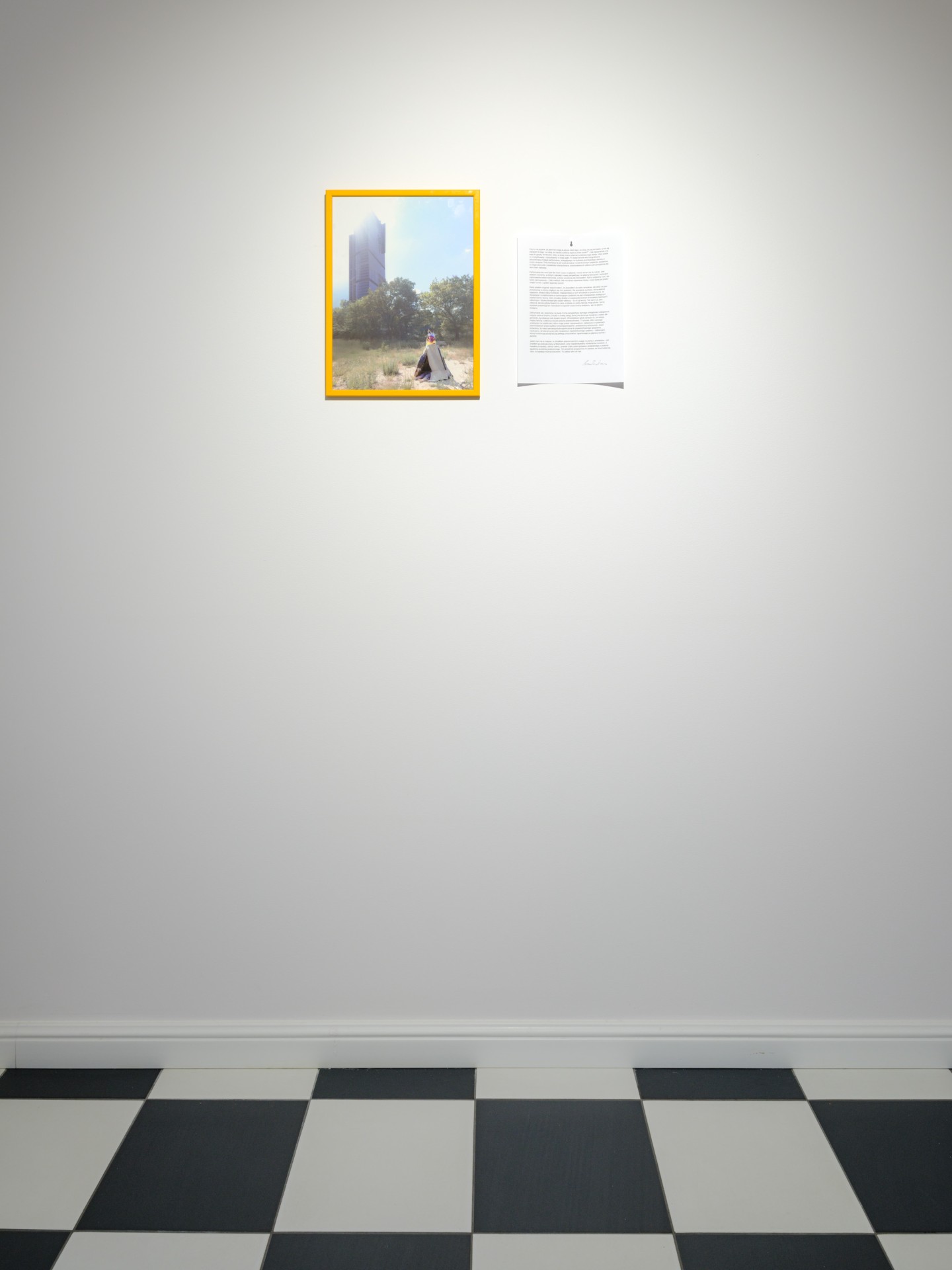 Grass on roadside 4 exhibition view