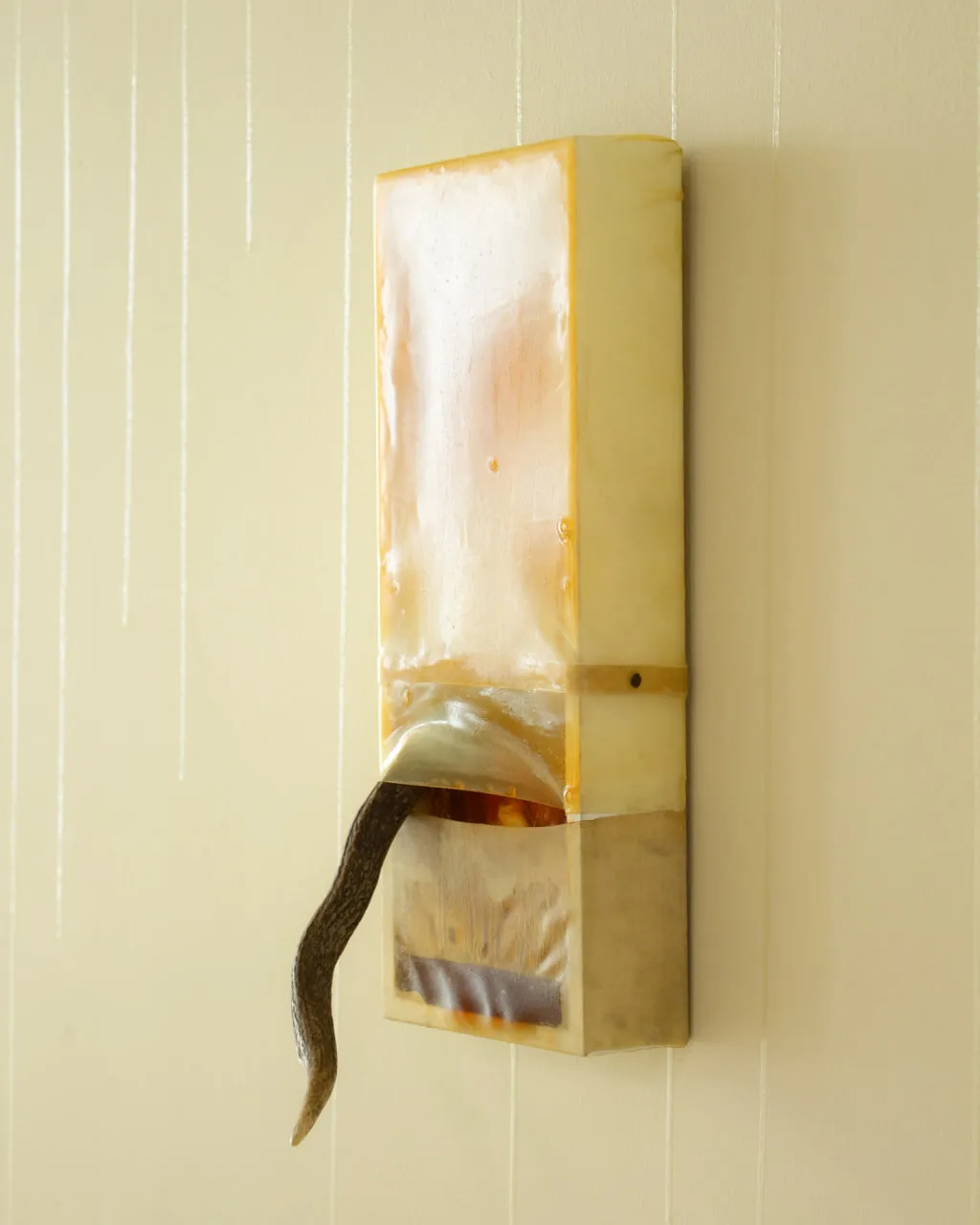 INNER:LICHT BY CARMINE ANTONIO IACOLARE exhibition view
